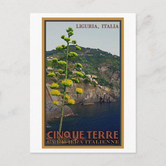 Carte Postale Cinque Terre - Plante du siècle (Devant)