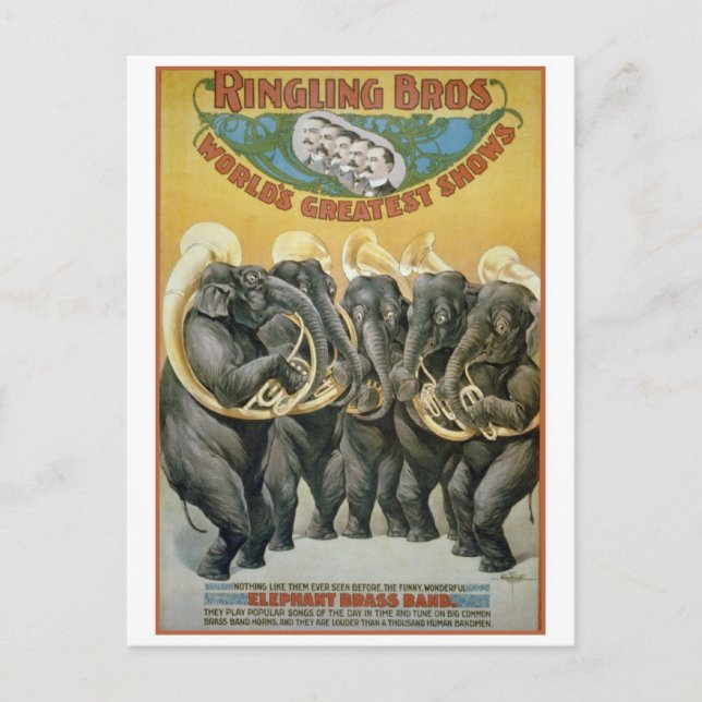 Carte Postale Circus Elephants Brass Band (Devant)