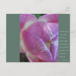 Carte Postale Citation Anais Nin