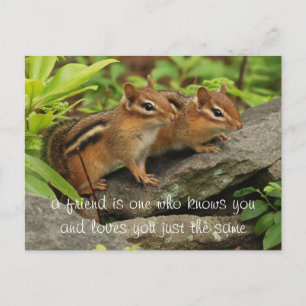 Carte Postale Citation d'ami Deux mignonnes chipmunks pour bébé