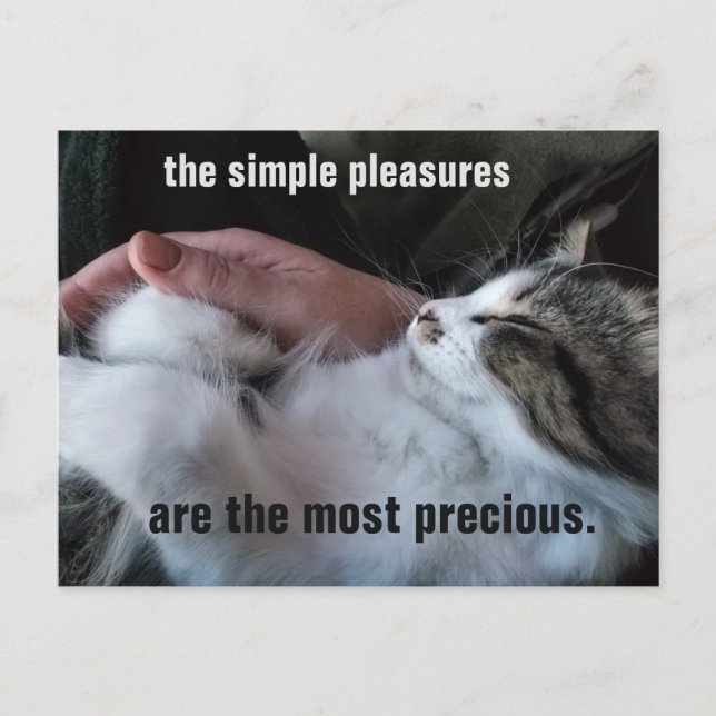 Carte Postale Citation de Chaton Mignon Simples Plaisirs Personn (Devant)