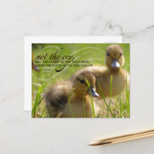 Carte Postale Citation de leadership inspirationnel "Pas un cri"