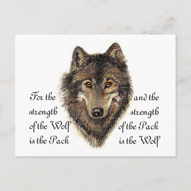 Carte Postale Citation de loup et de pack - Collection d'animaux (Devant)