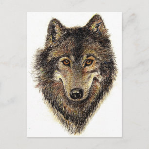 Carte Postale Citation de loup et de pack - Collection d'animaux