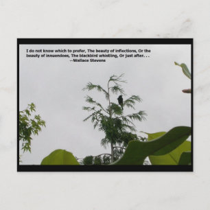 Carte Postale Citation de Wallace Stevens