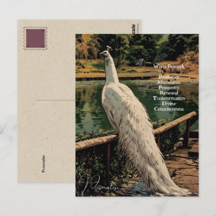 Carte Postale Citation inspirée Spirituelle White Peacock Bird