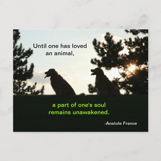 Carte Postale Citation pour animal de compagnie spirituelle Gold (Devant)
