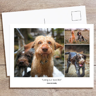 Carte Postale Citations de photos personnalisées pour la famille