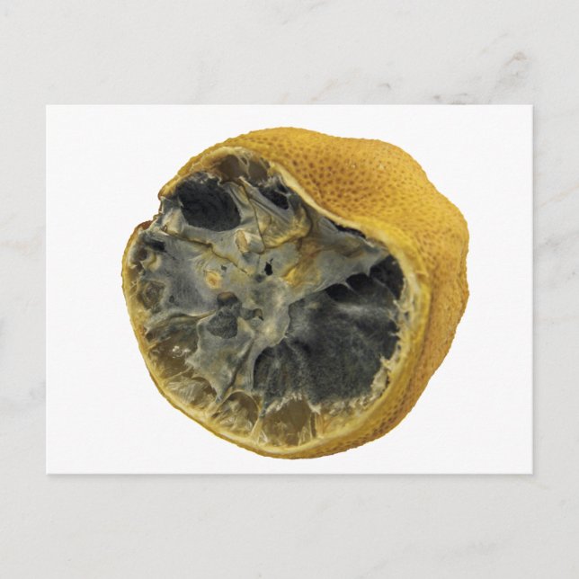 Carte Postale Citron vert (Devant)