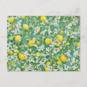 Carte Postale Citrons et fleurs blanches