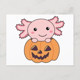 Carte Postale Citrouille Axolotl Amateurs De Beaux Animaux Pour 