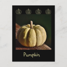 Carte postale Citrouille blanc Mini Gourd Fall