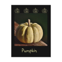 Carte postale Citrouille blanc Mini Gourd Fall