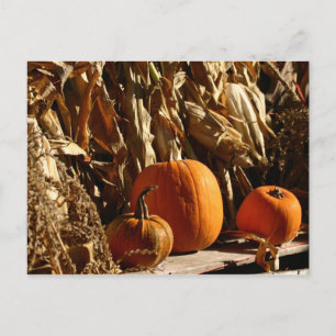 Carte Postale Citrouille et Corn