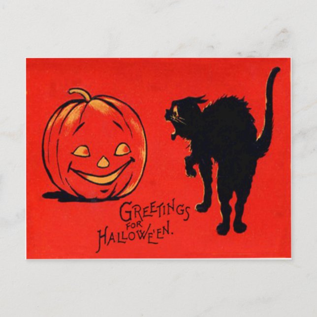 Carte Postale Citrouille Lanterne Jack Chat Noir (Devant)