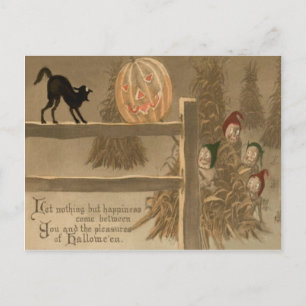 Carte Postale Citrouille Lanterne Jack O Lanterne Chat Noir Meul