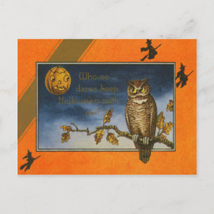 Carte Postale Citrouille Owl Jack-o'-lantern