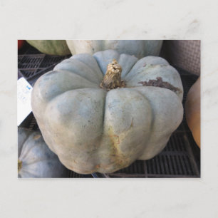 Carte Postale Citrouille vert