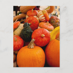 Carte Postale Citrouilles d'automne orange