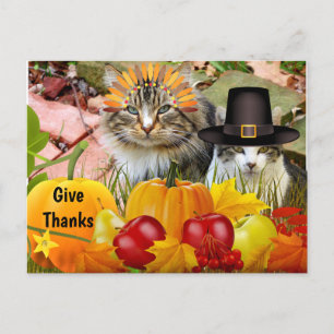 Carte Postale Citrouilles de Thanksgiving de chat / Issu du coll