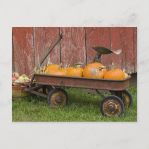 Carte Postale Citrouilles en vieux wagon