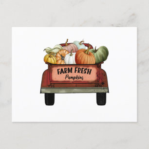 Carte Postale Citrouilles frais de ferme