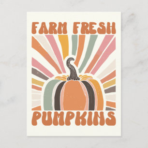 Carte Postale Citrouilles frais de la ferme rétro