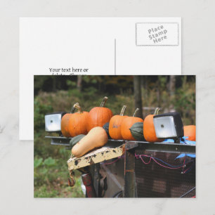 Carte Postale Citrouilles sur un camion personnalisé de campagne