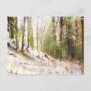 Carte Postale Clairière ensoleillée #2 de forêt de Milou