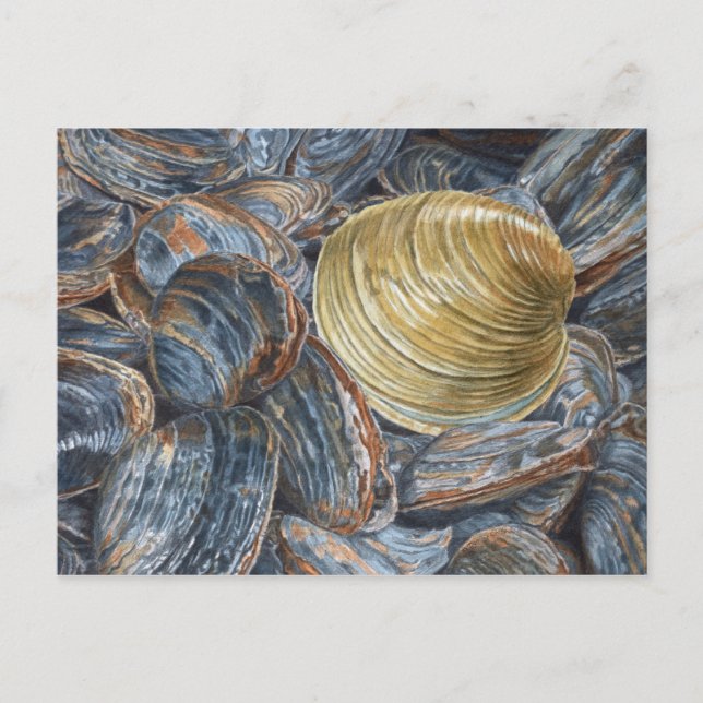 Carte postale Clams et Quahog Art (Devant)