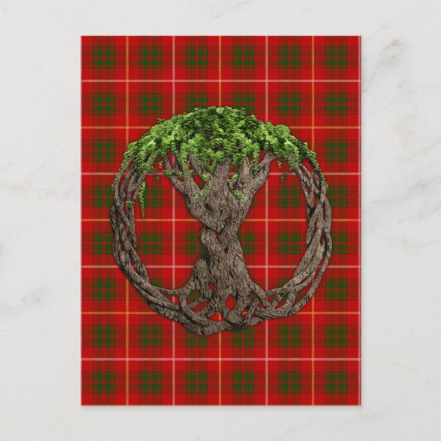 Carte Postale Clan Bruce Tartan Et Celtic Tree Of Life (Devant)