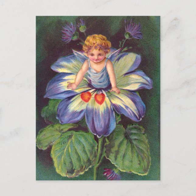 Carte Postale Clapsaddle : Fleur Cherub Aster (Devant)