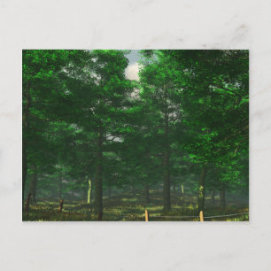Carte postale Clarité de la nature