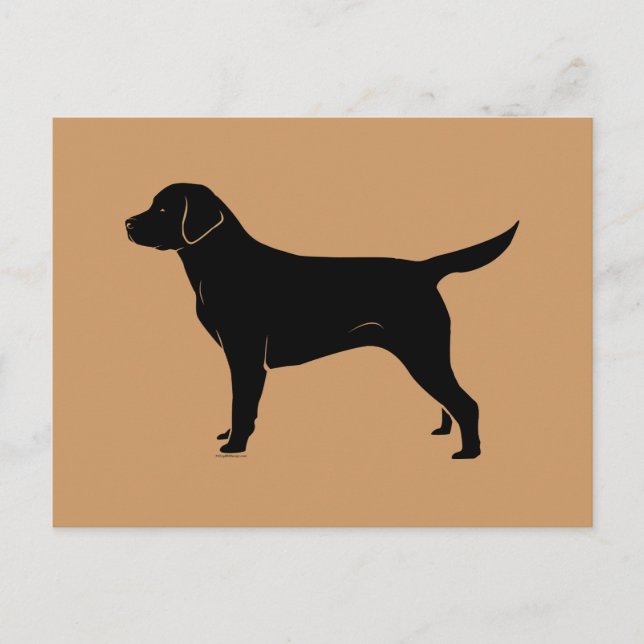 Carte Postale Classic Black Labrador Retriever (Devant)