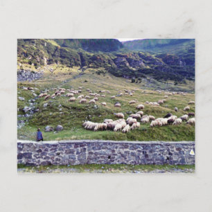 Carte postale classique