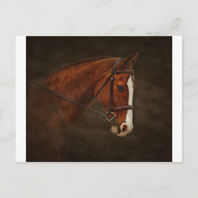 Carte Postale Classique (Devant)