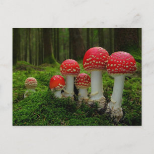 Carte postale classique