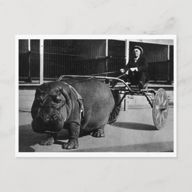 Carte postale classique (Devant)