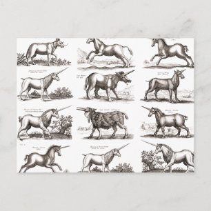 Carte Postale Classique Unicorne Antique Mythique Magie Créature