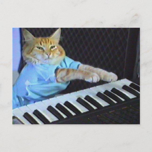 Carte Postale Clavier Cat ! (Devant)