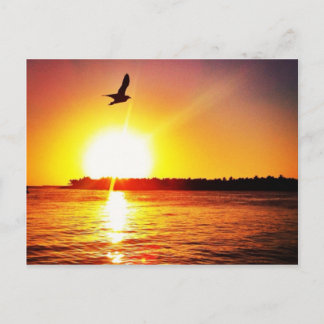 Carte Postale Clé West Sunset