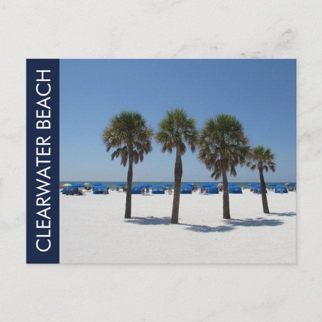 Carte Postale Clearwater Beach FL (Devant)
