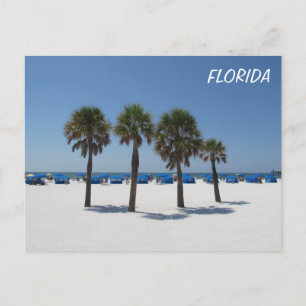 Carte Postale Clearwater Beach FL