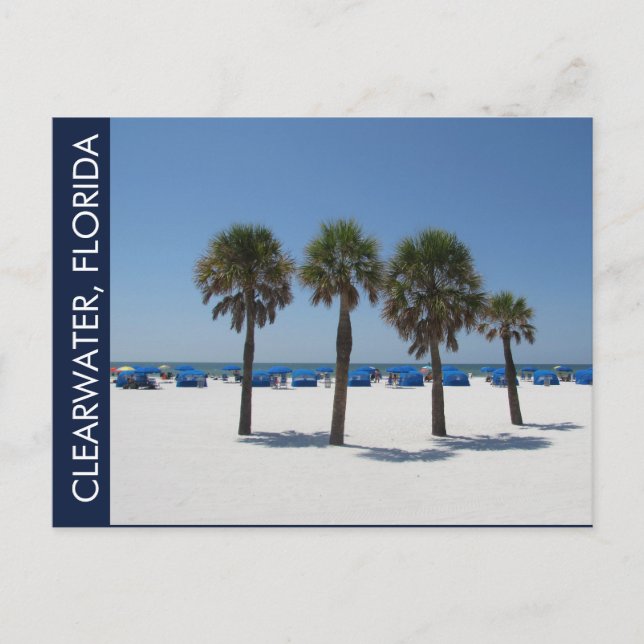 Carte Postale Clearwater Beach FL (Devant)
