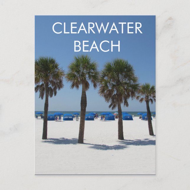 Carte postale Clearwater Beach Florida (Devant)