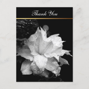 Carte Postale Clematis 2c Floral BW Photo Sympathy Merci
