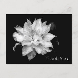 Carte Postale Clematis 3b Merci de la Sympathie du Mémorial