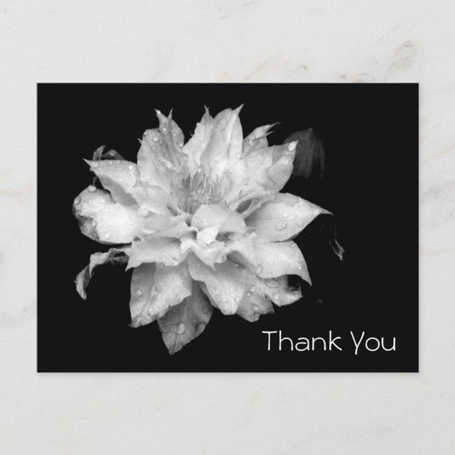 Carte Postale Clematis 3b Merci de la Sympathie du Mémorial (Devant)