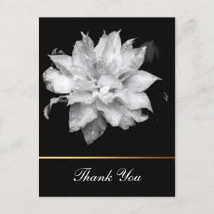Carte Postale Clematis 3c Floral B&W Photo Sympathie Merci
