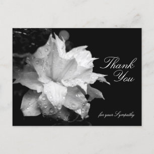 Carte Postale Clematis et Dewdrops Sympathy Merci P
